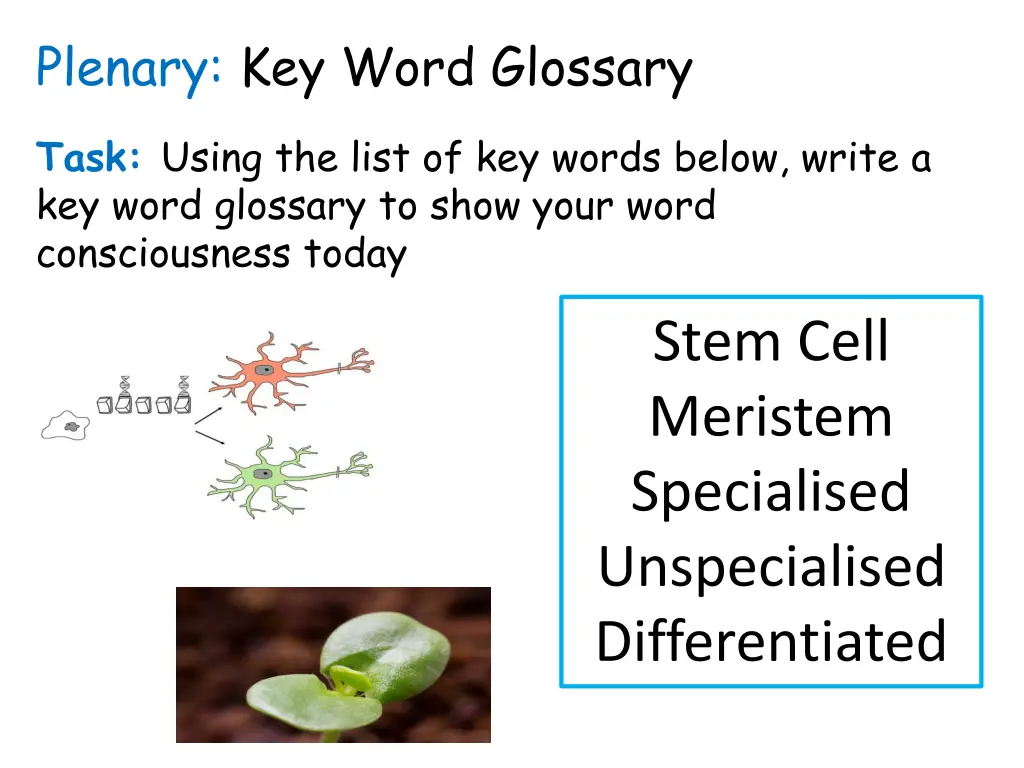 plenary key word glossary