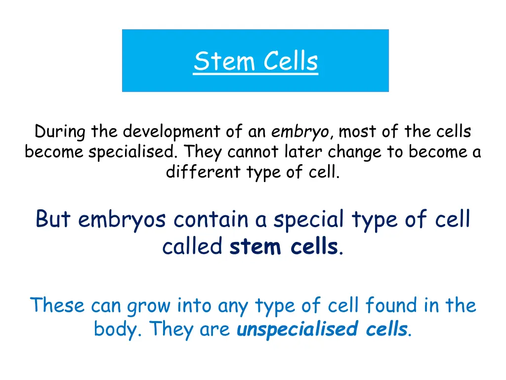 stem cells 1