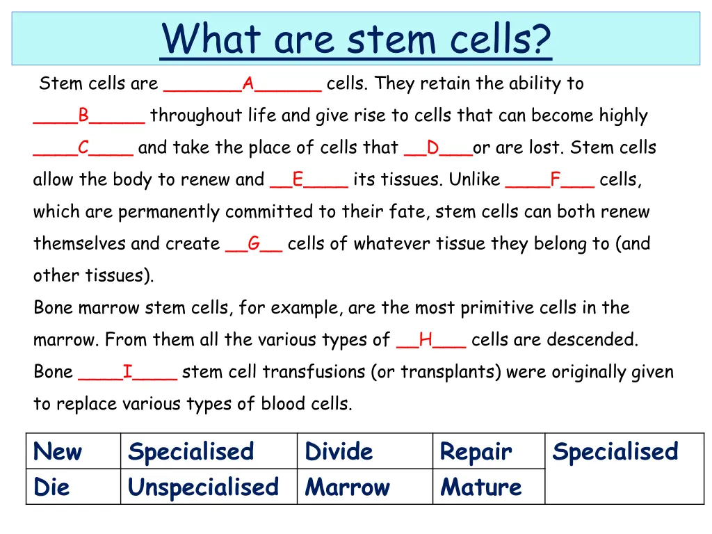 what are stem cells