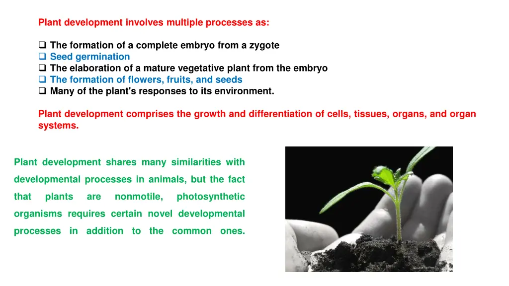 plant development involves multiple processes as