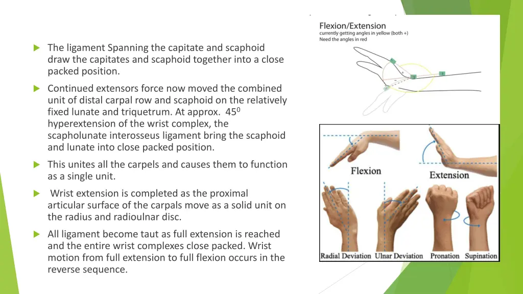 the ligament spanning the capitate and scaphoid