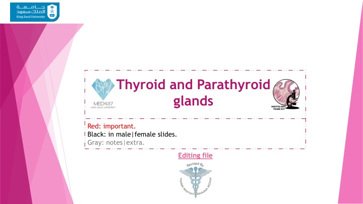 thyroid and parathyroid glands