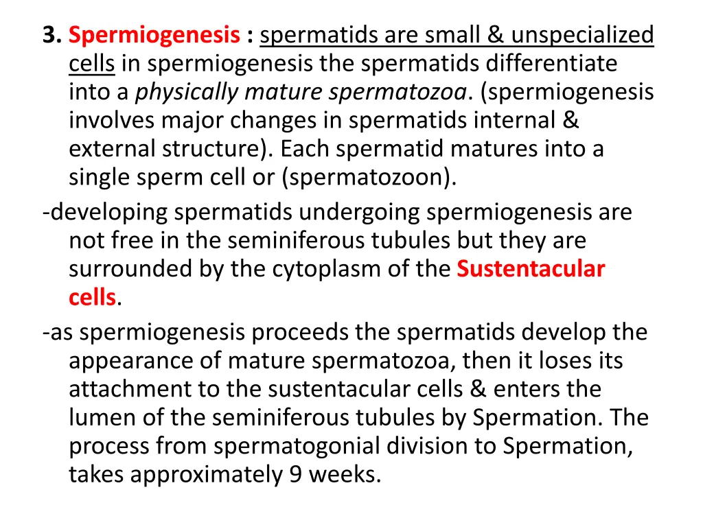 3 spermiogenesis spermatids are small