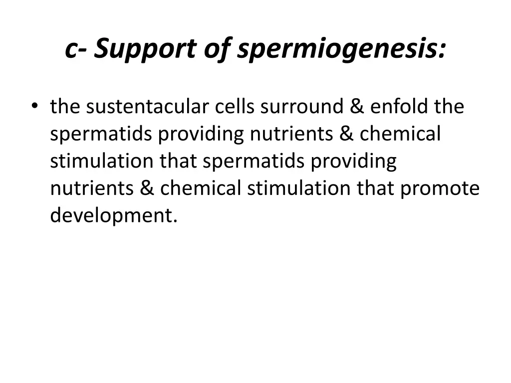 c support of spermiogenesis