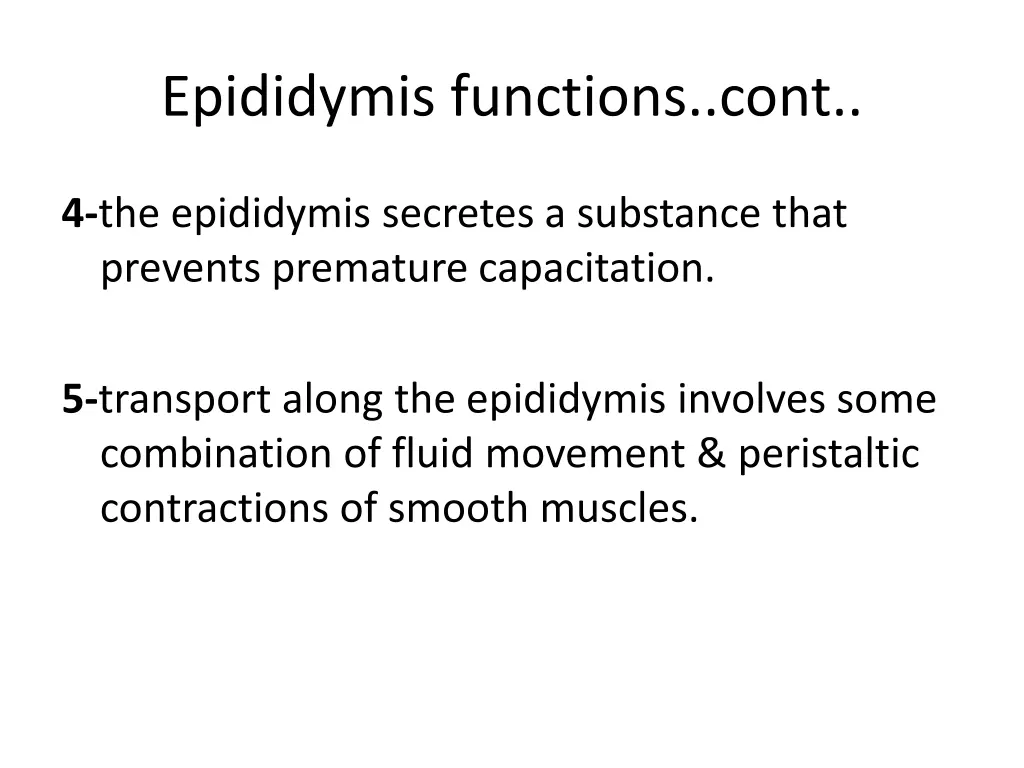 epididymis functions cont 1