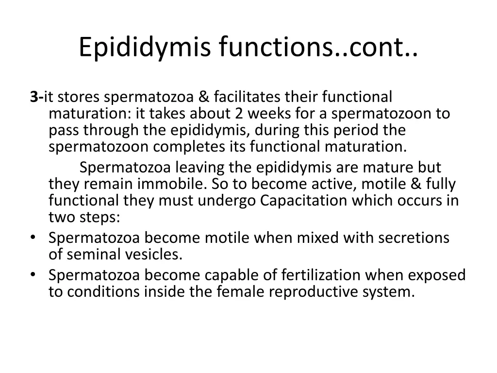 epididymis functions cont