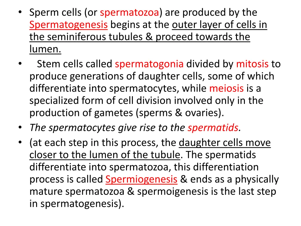 sperm cells or spermatozoa are produced