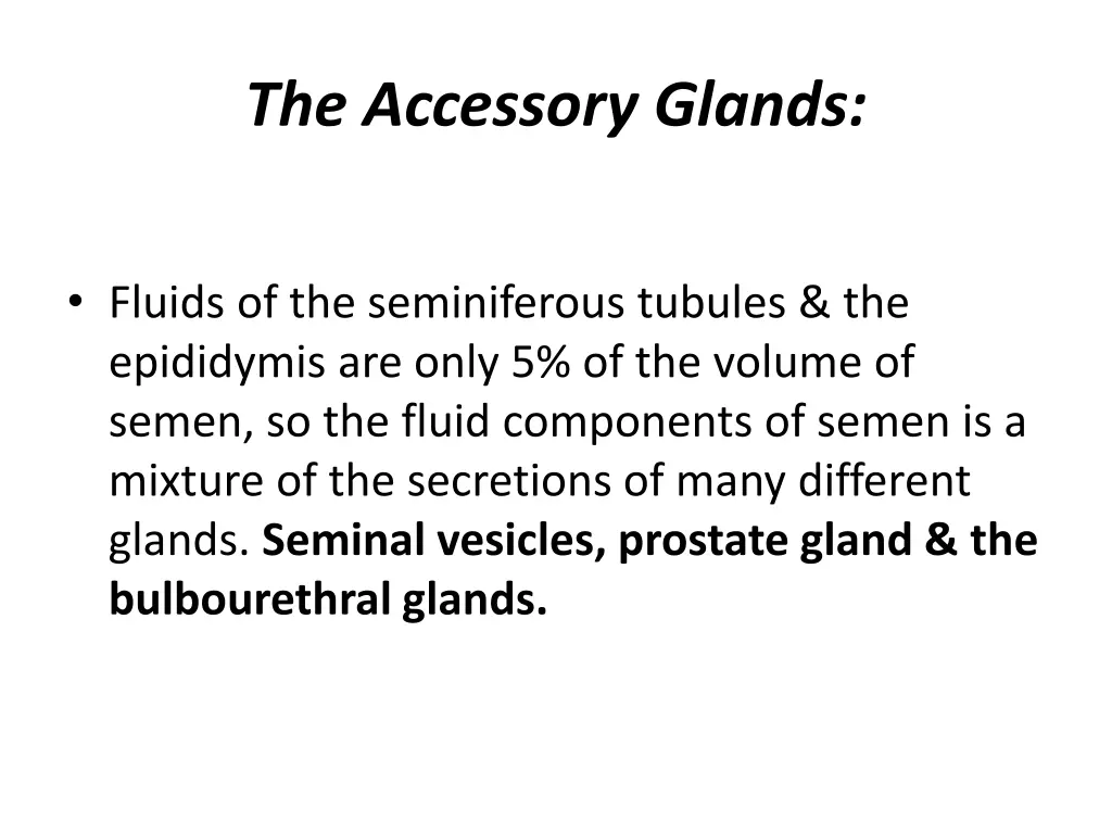 the accessory glands