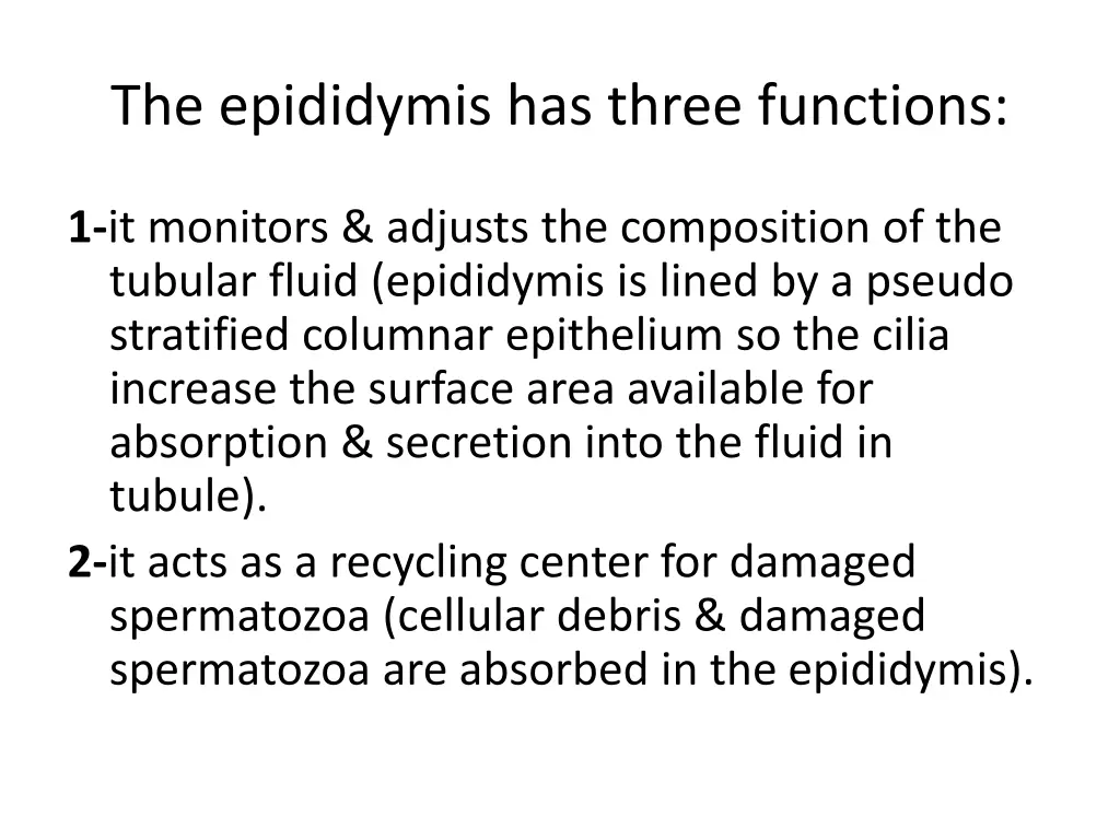 the epididymis has three functions