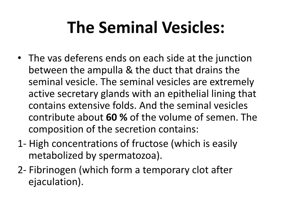 the seminal vesicles