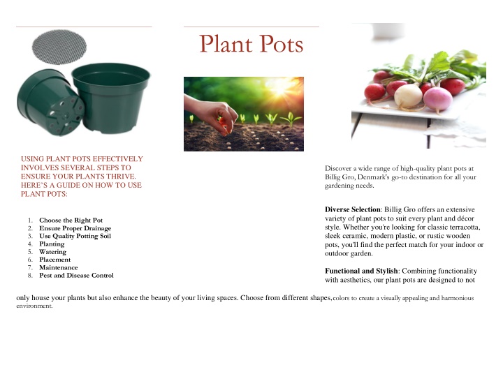 discover a wide range of high quality plant pots