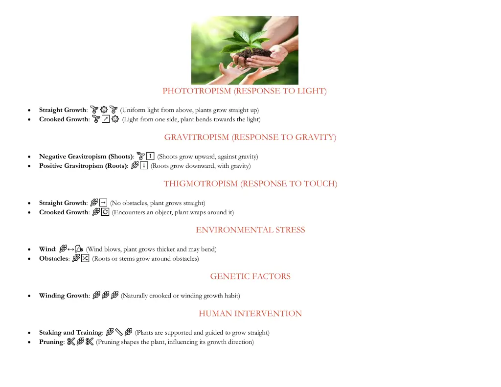 phototropism response to light