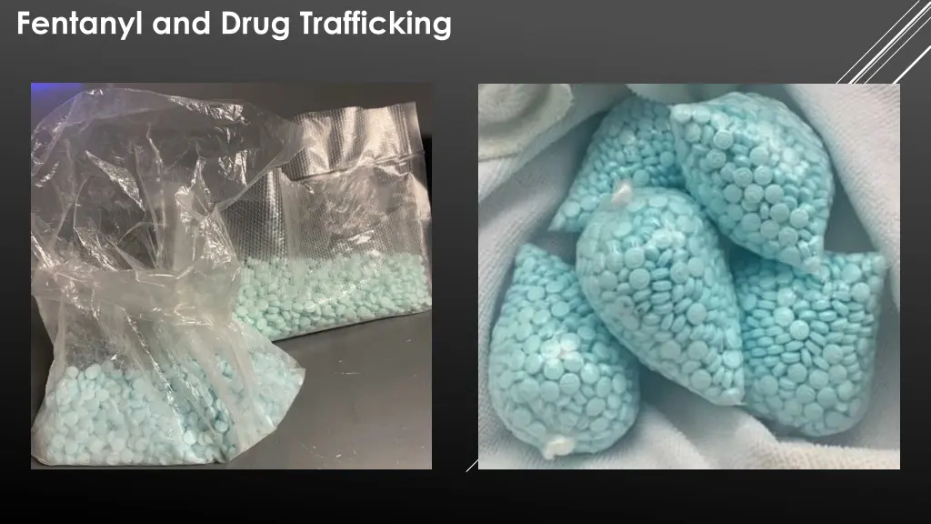 fentanyl and drug trafficking