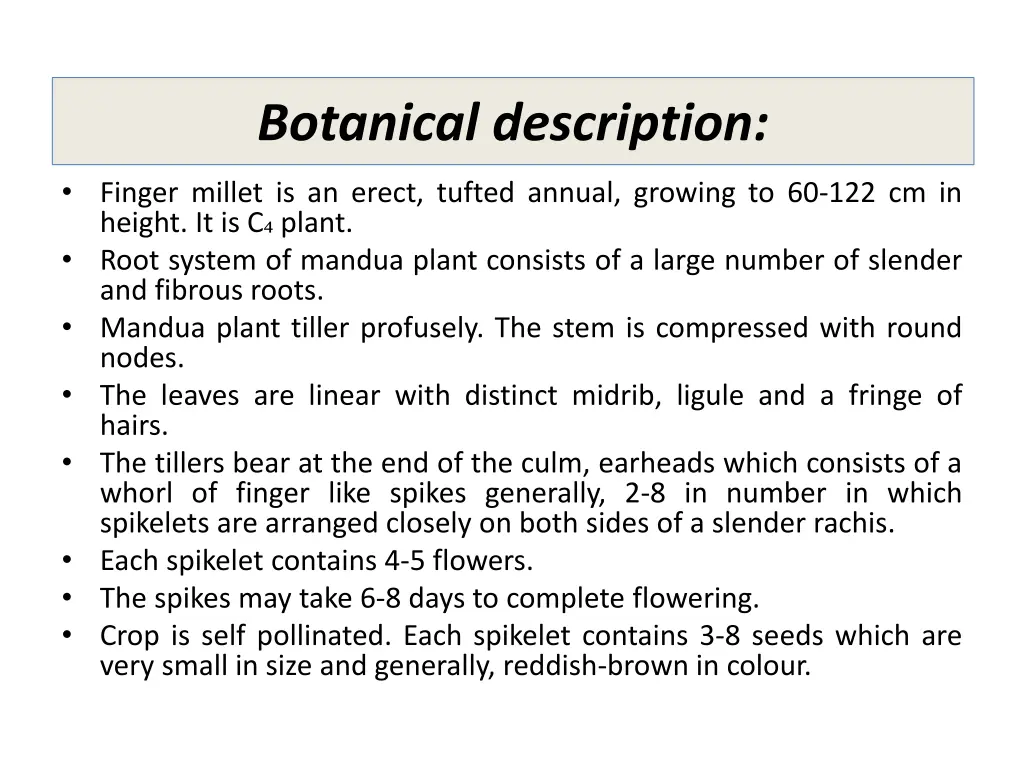 botanical description