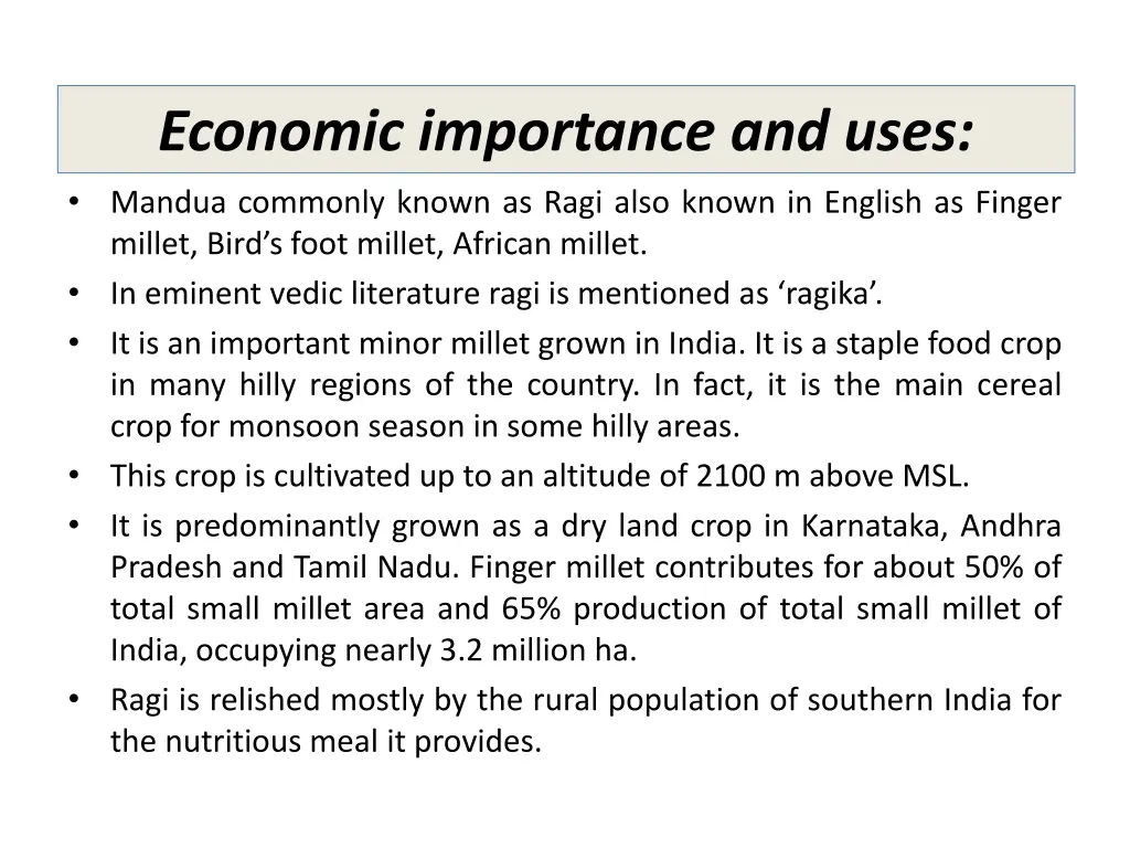 economic importance and uses mandua commonly