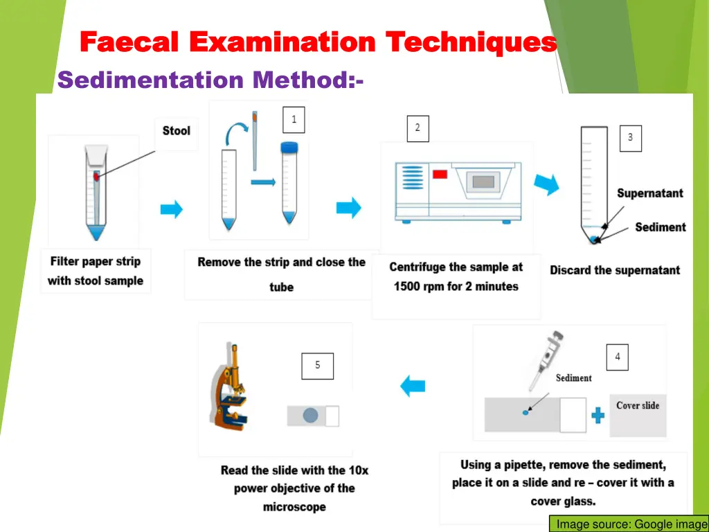 faecal faecal examination techniques examination 11