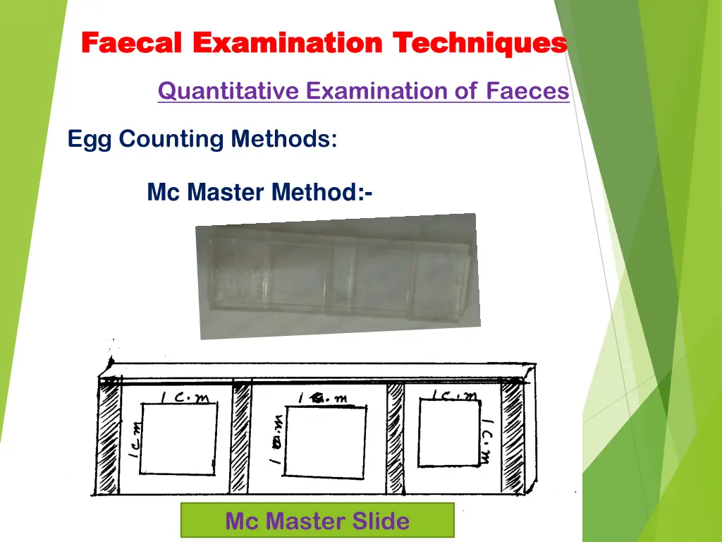 faecal faecal examination techniques examination 17