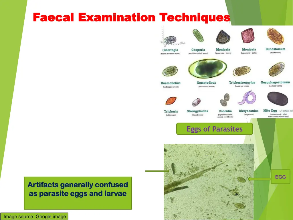 faecal faecal examination techniques examination 2