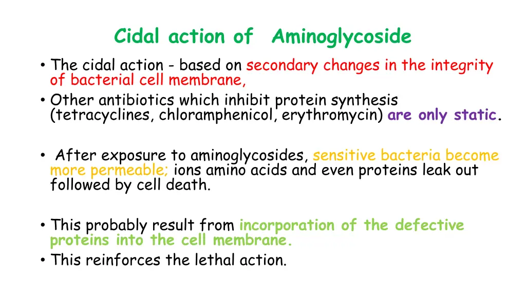 cidal action of aminoglycoside the cidal action