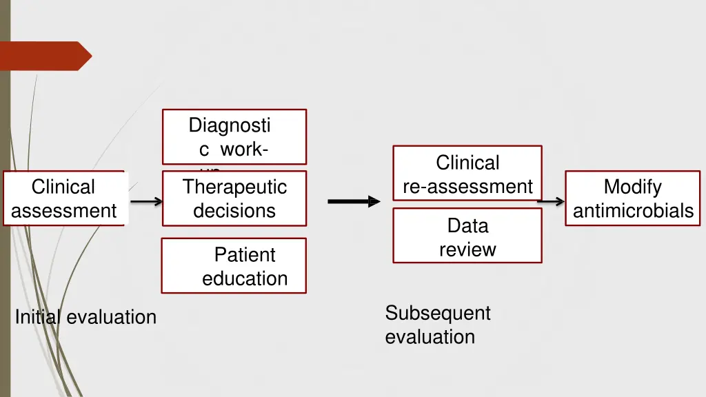 diagnosti c work up therapeutic decisions