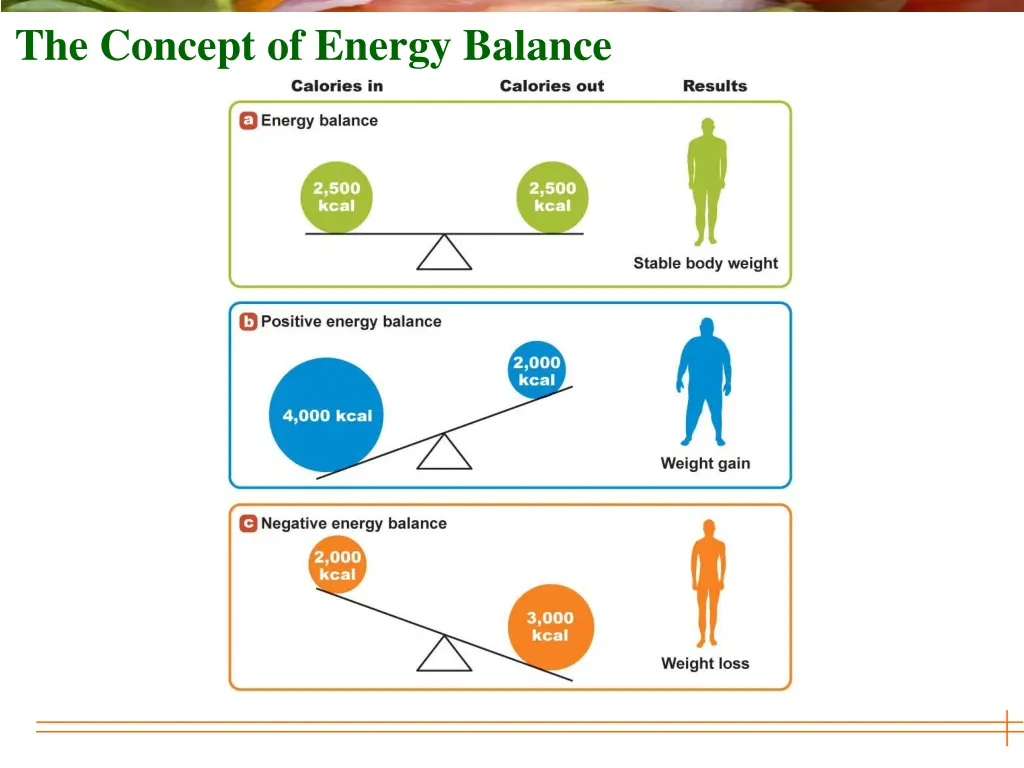 the concept of energy balance