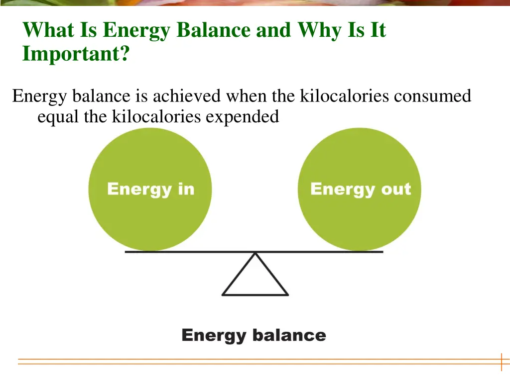 what is energy balance and why is it important