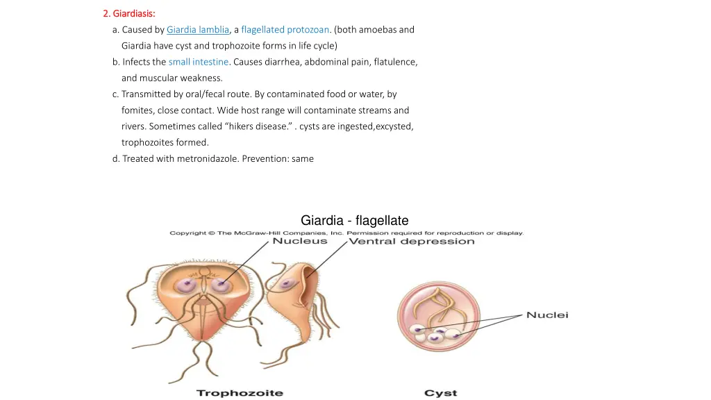 2 giardiasis 2 giardiasis