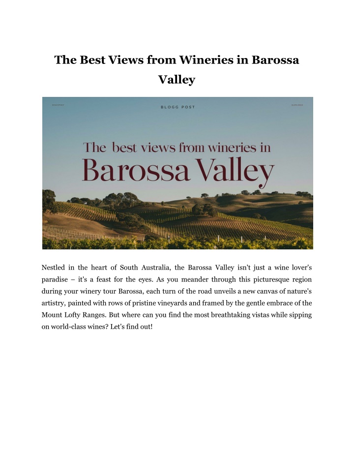 the best views from wineries in barossa