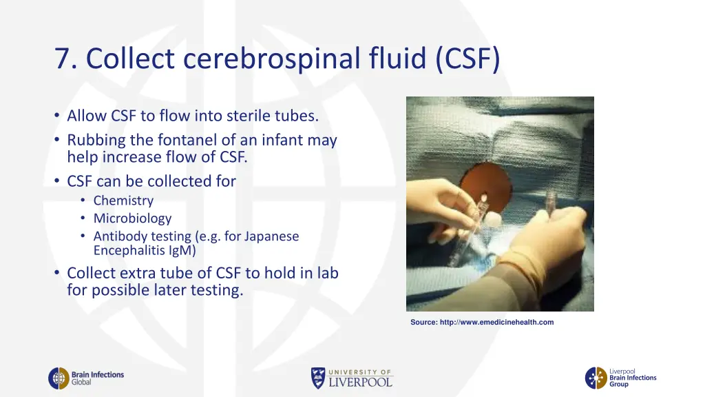 7 collect cerebrospinal fluid csf