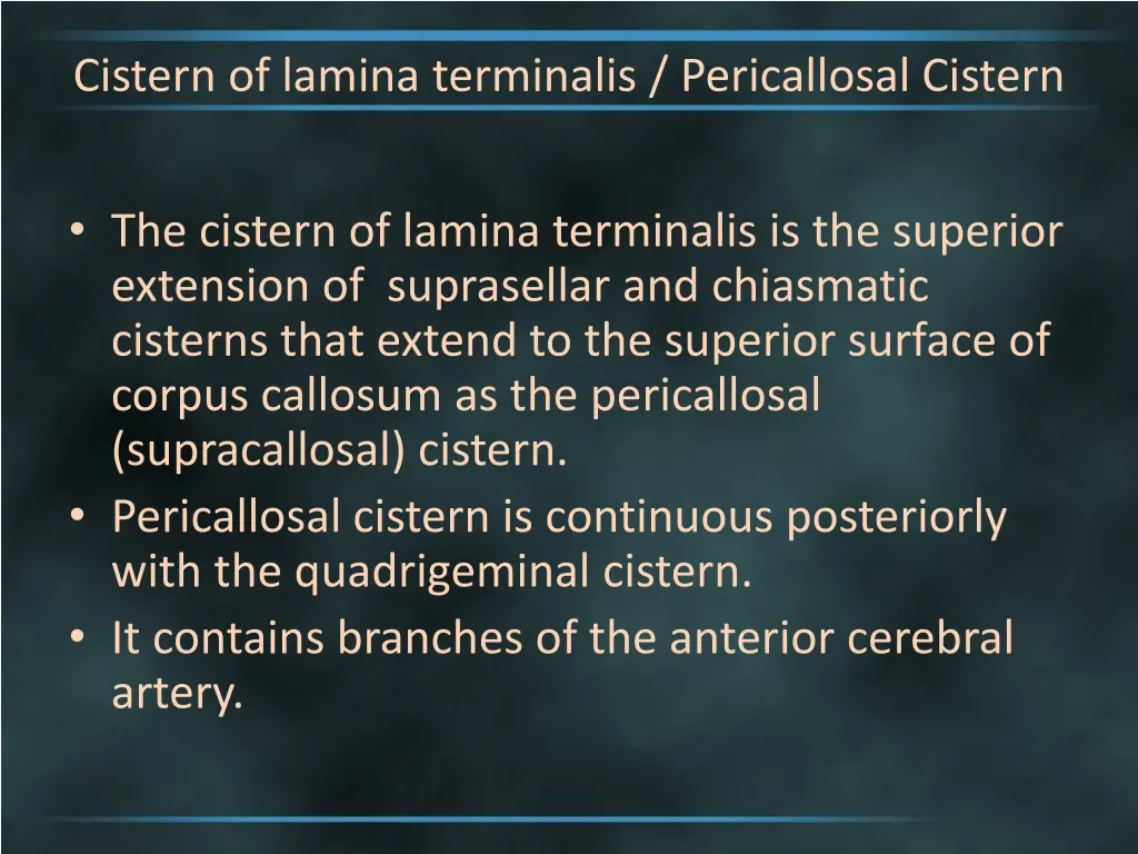 cistern of lamina terminalis pericallosal cistern