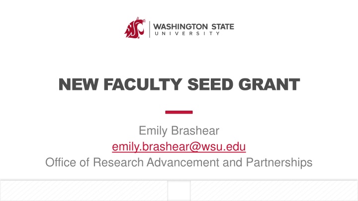 new faculty seed grant