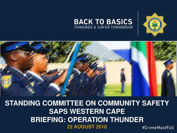 standing committee on community safety saps