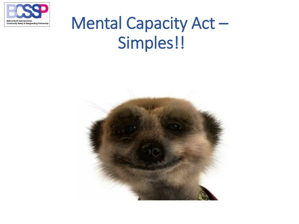 mental capacity act mental capacity act simples