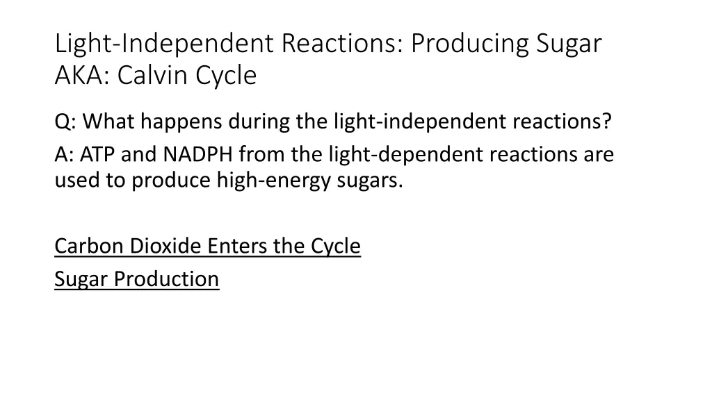 light independent reactions producing sugar