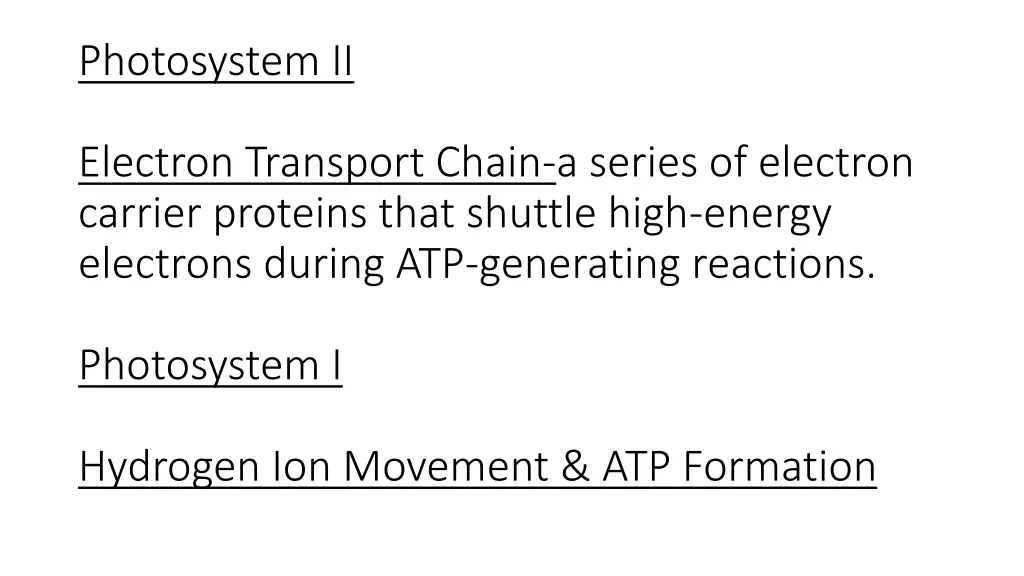 photosystem ii