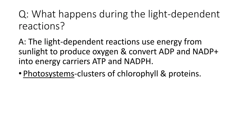 q what happens during the light dependent