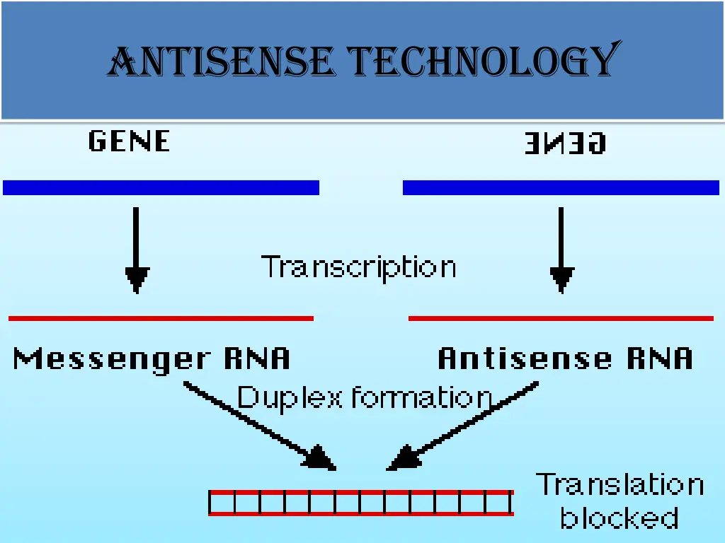 antisense technology 1