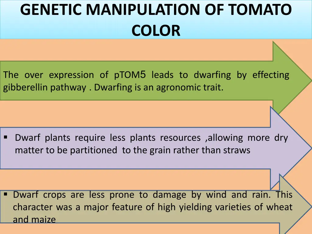 genetic manipulation of tomato color