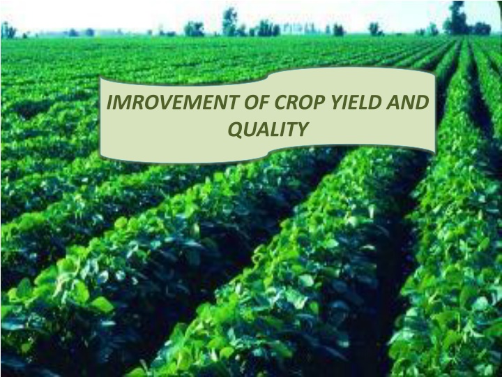 imrovement of crop yield and quality