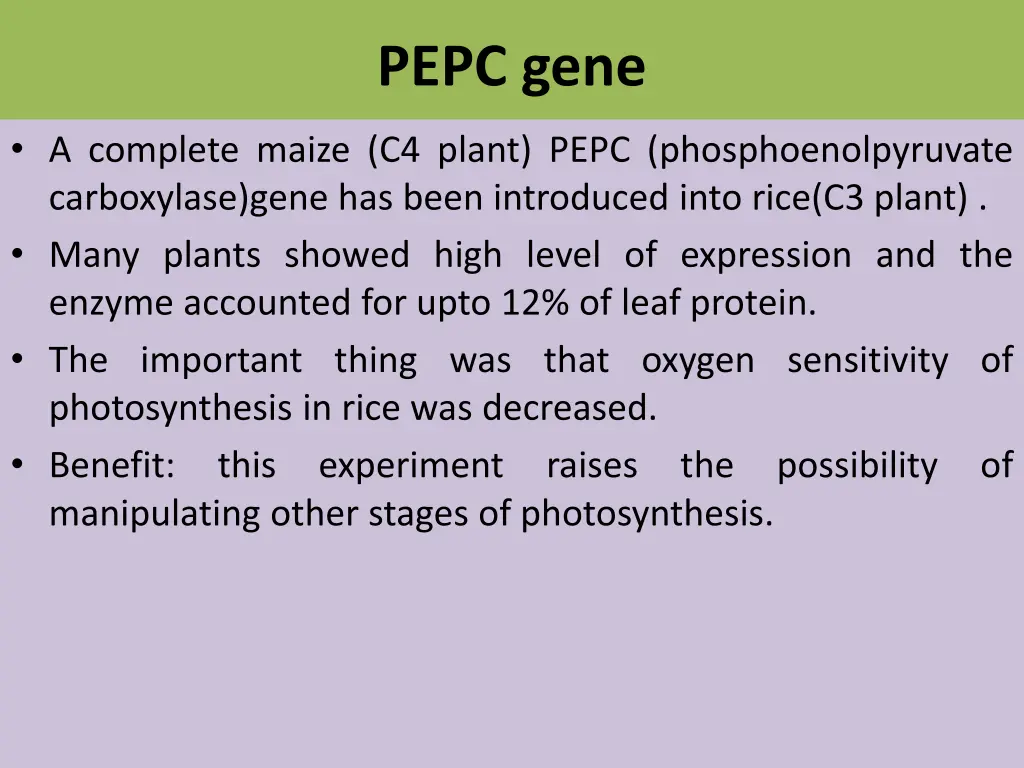 pepc gene