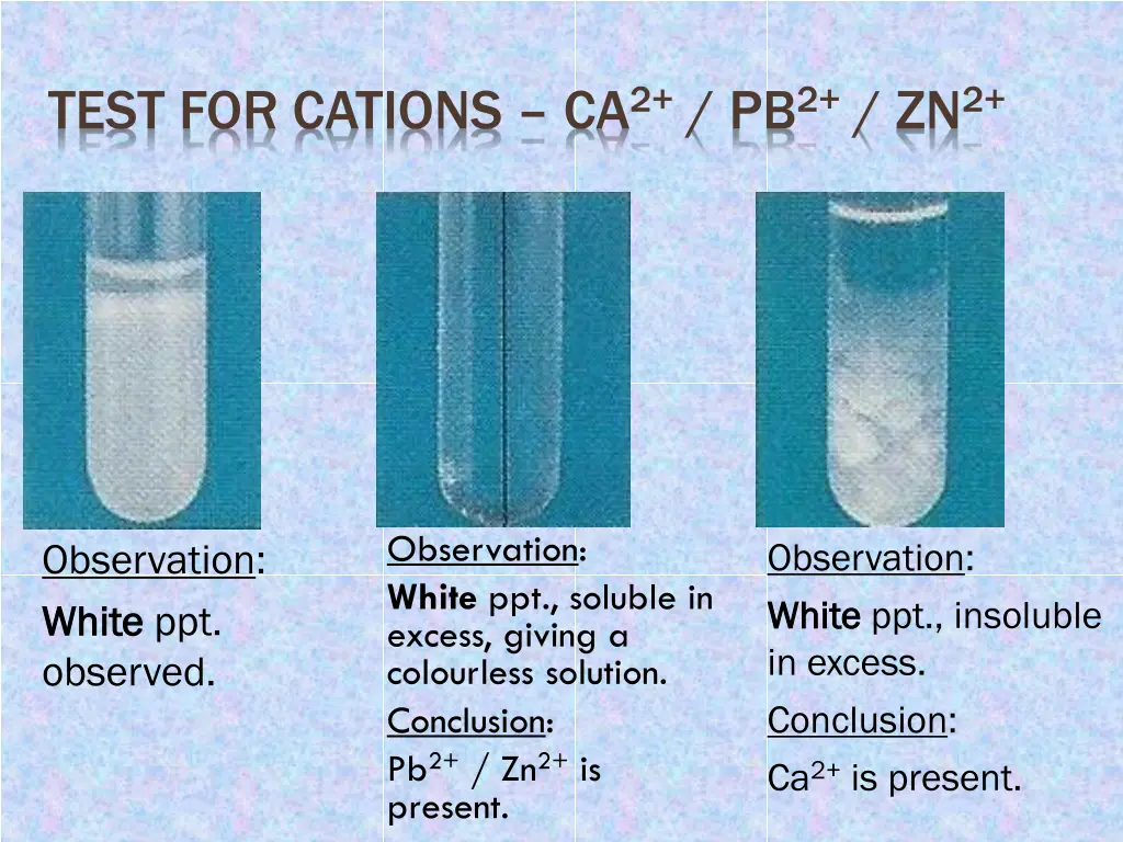 test for cations ca 2 pb 2 zn 2