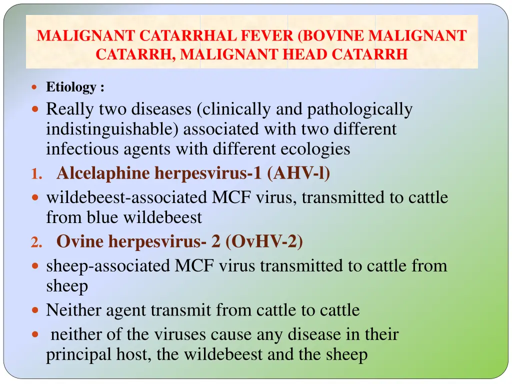 malignant catarrhal fever bovine malignant