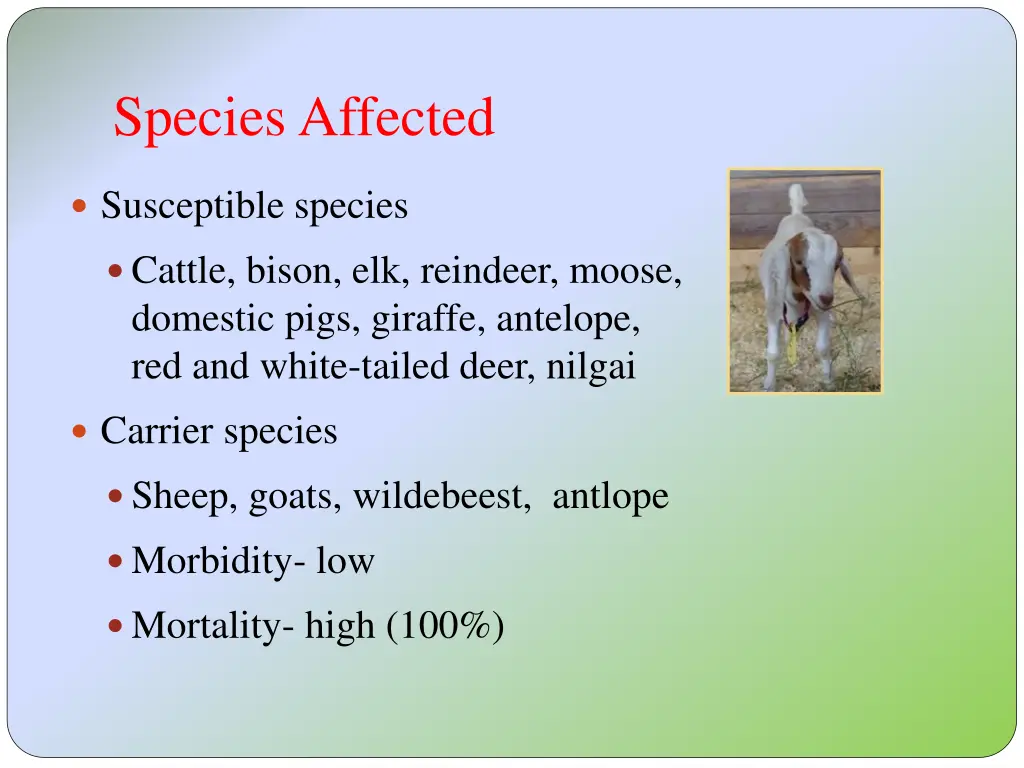 species affected