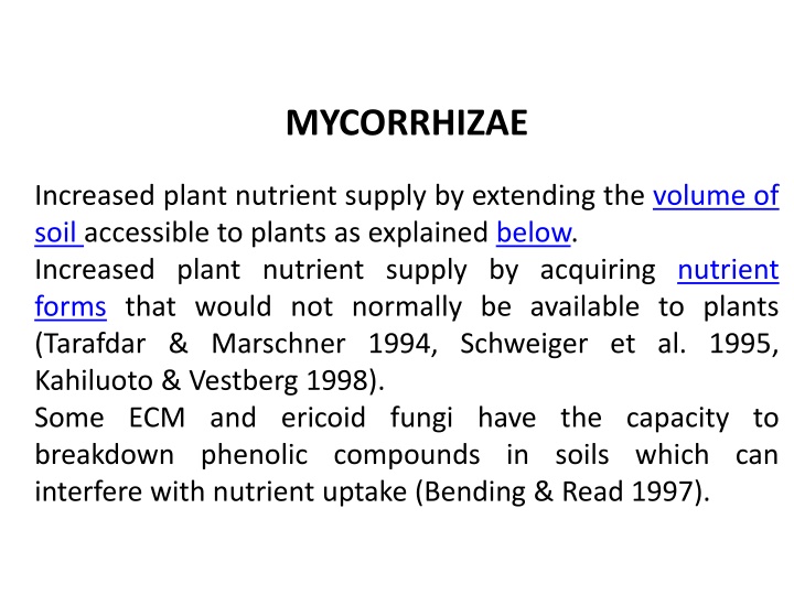 mycorrhizae