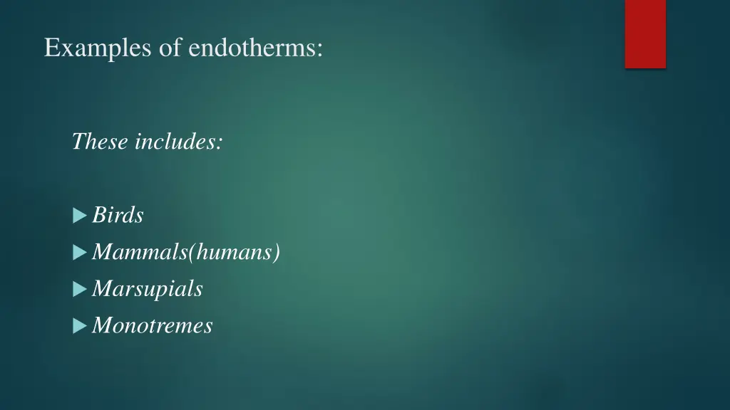 examples of endotherms