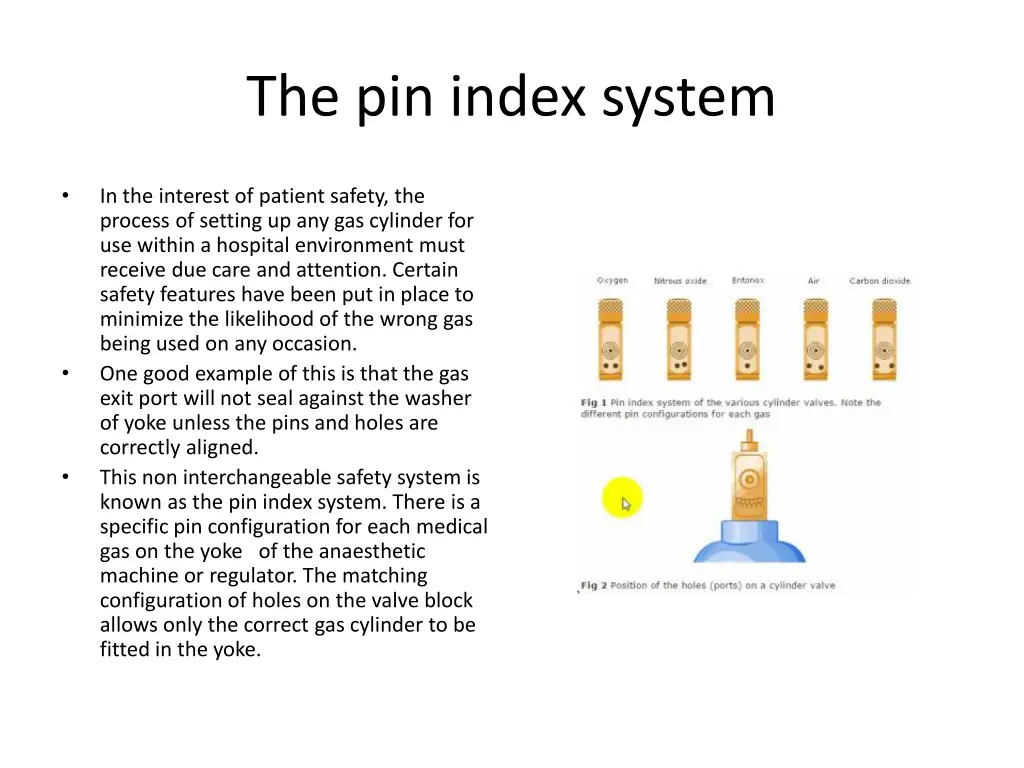 the pin index system