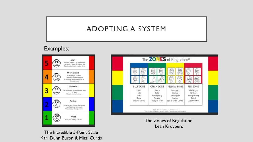 adopting a system