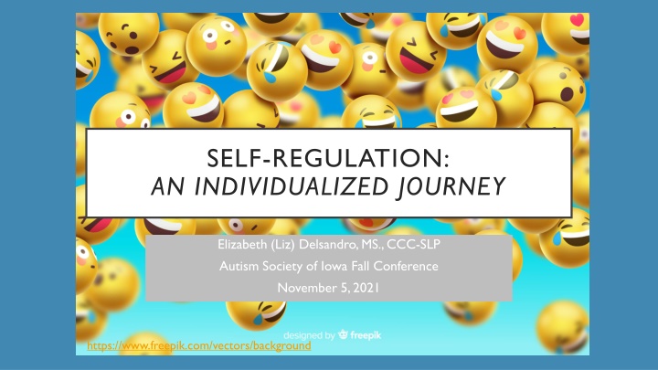 self regulation an individualized journey