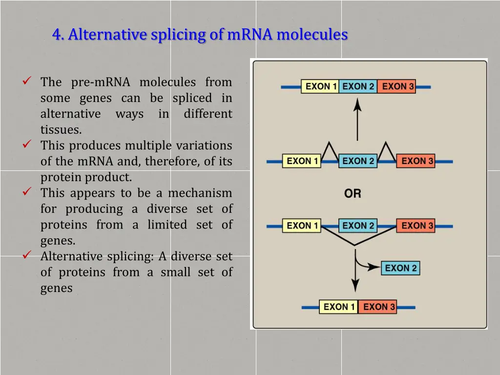 4 alternative splicing of mrna molecules