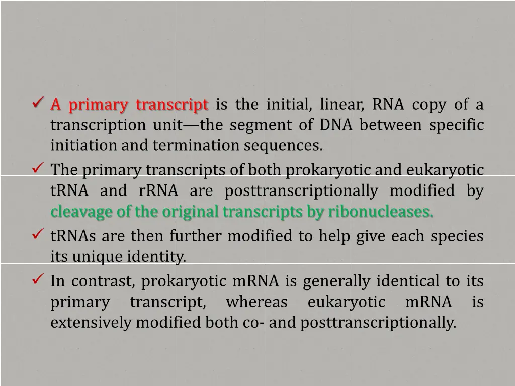 a primary transcript is the initial linear